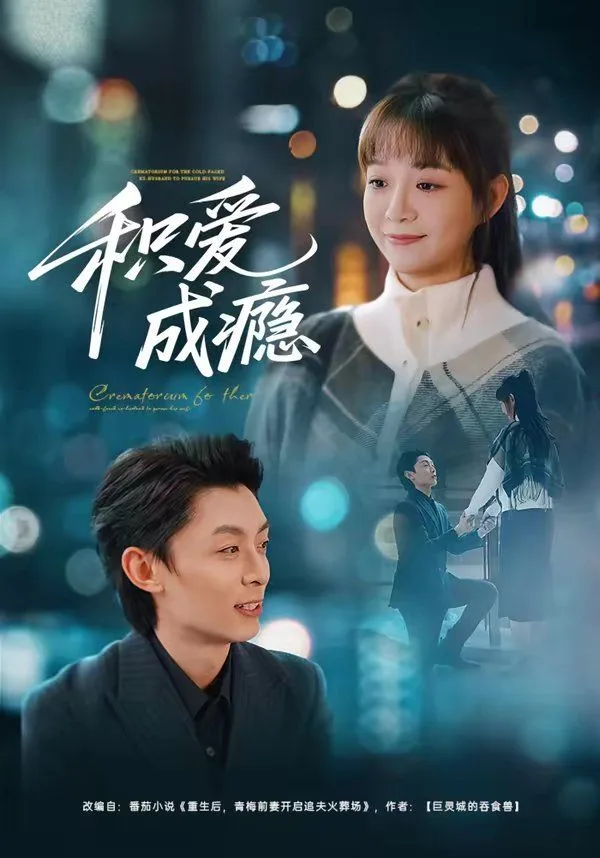 积爱成瘾海报