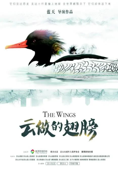 云做的翅膀海报