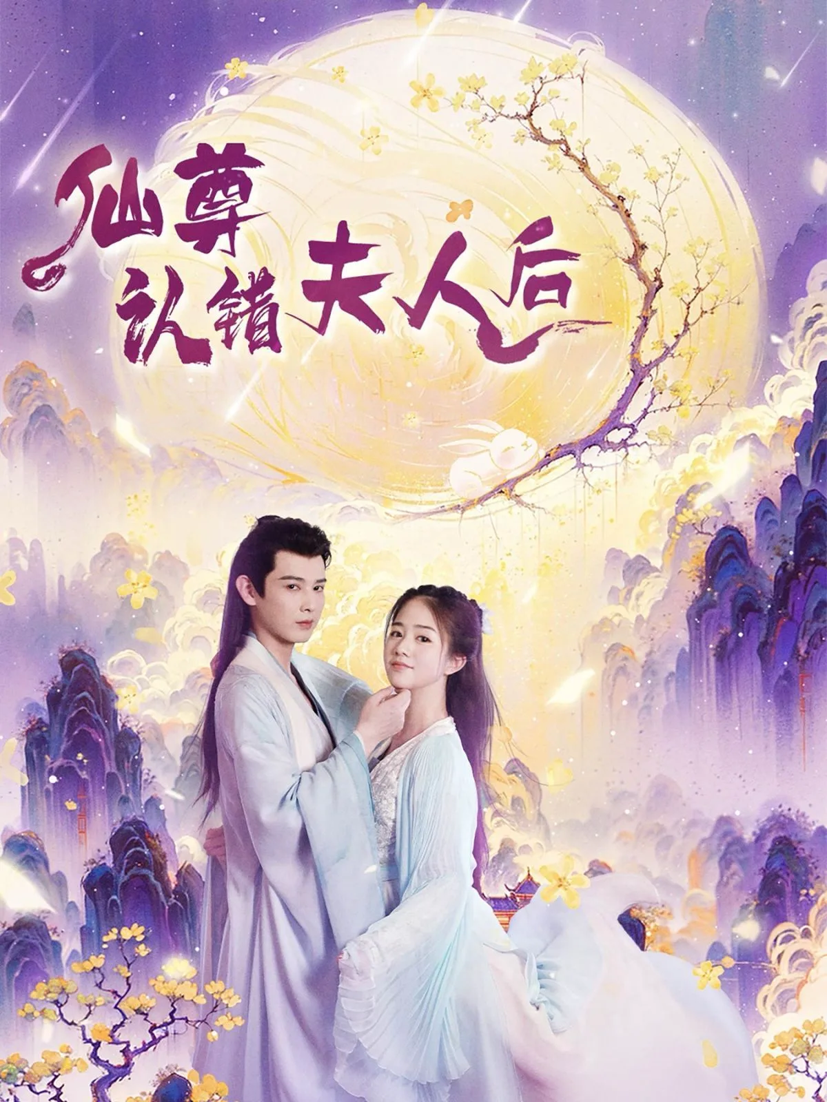仙尊认错夫人后海报