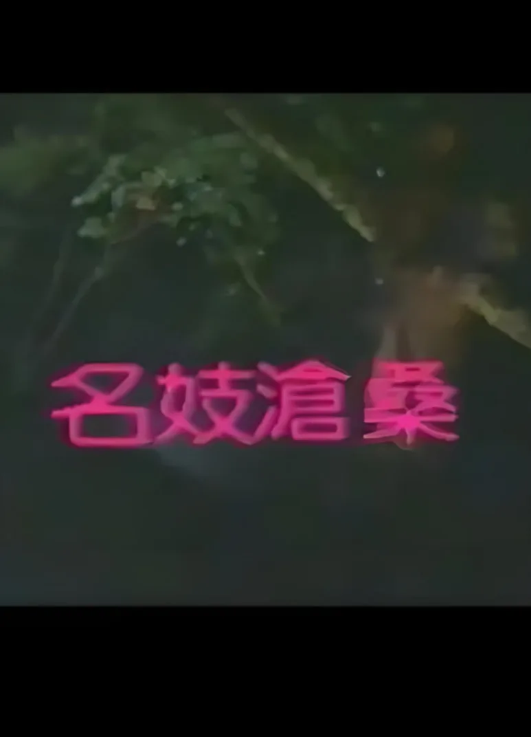 名妓沧桑海报