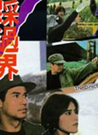 黄金部队海报