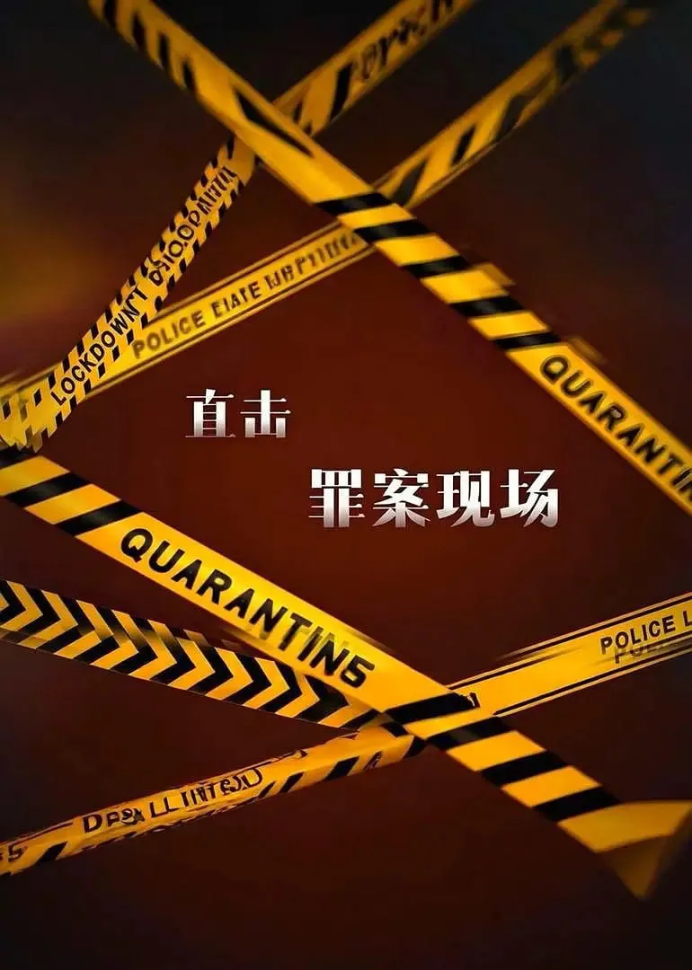 直击罪案现场海报
