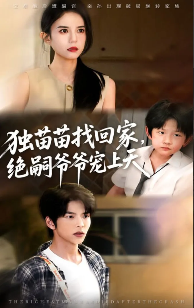 独苗苗找回家绝嗣爷爷宠上天海报