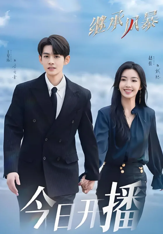 继承风暴海报