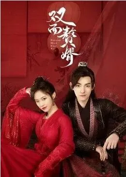 双面赘婿海报
