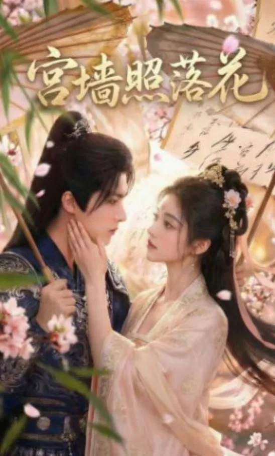宫墙照落花海报