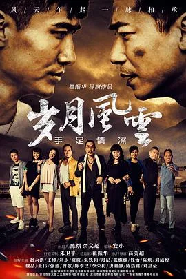 岁月风云之手足情深海报