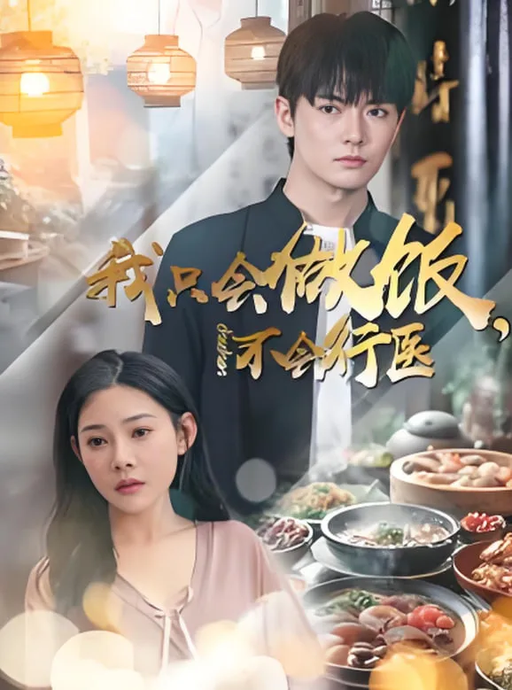 我只会做饭不会行医海报