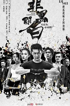 非黑即白海报
