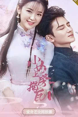 小女上房揭瓦第一季海报