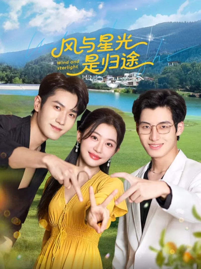 风与星光是归途海报