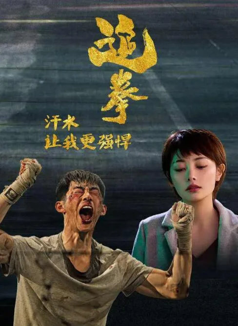 追拳海报
