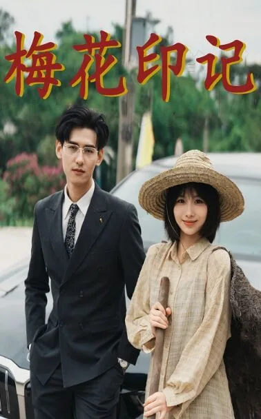 梅花印记海报
