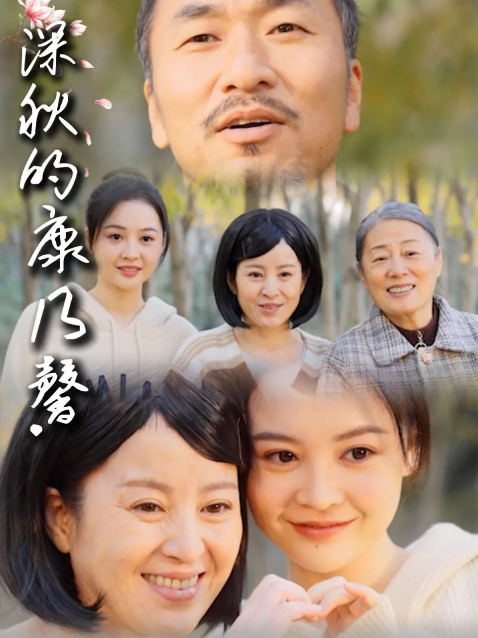 深秋的康乃馨海报