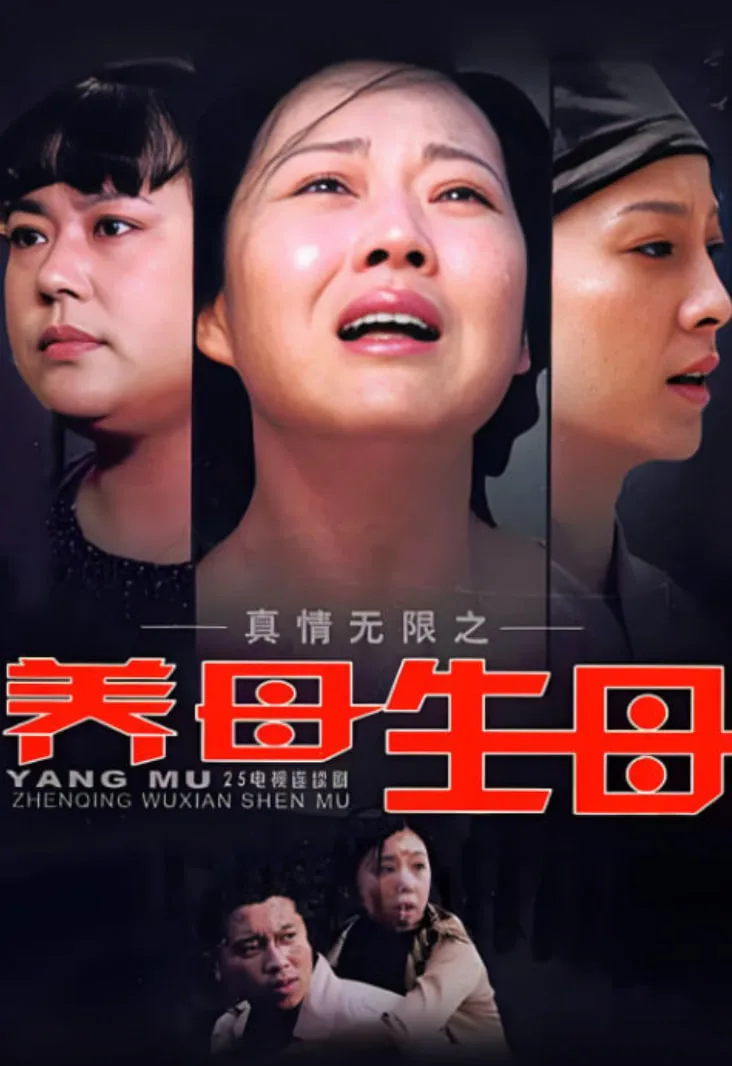 真情无限之养母生母海报