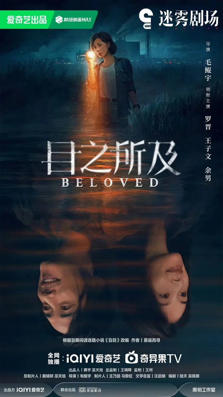目之所及海报