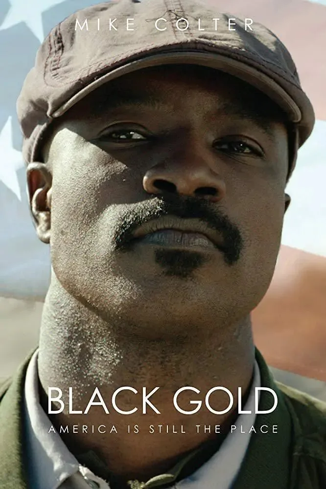 黑金 2022海报