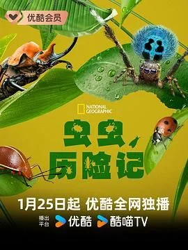 虫虫历险记 第一季海报