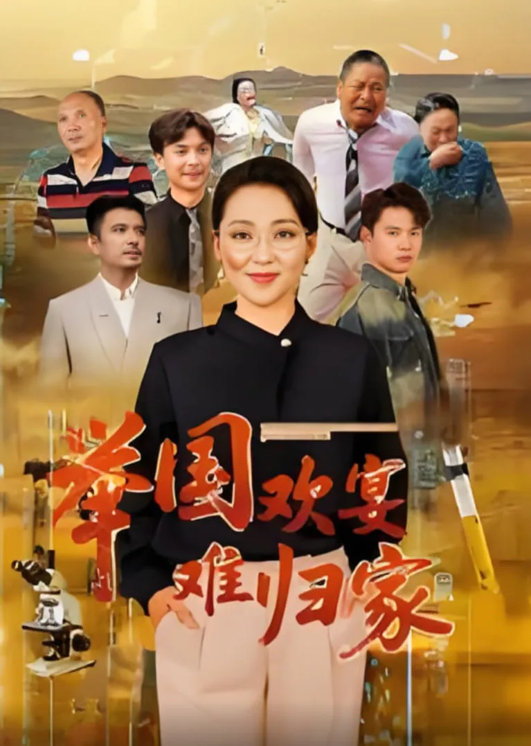举国欢宴难归家海报