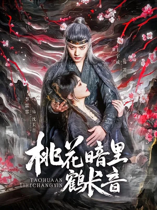 桃花暗里鹤长音海报