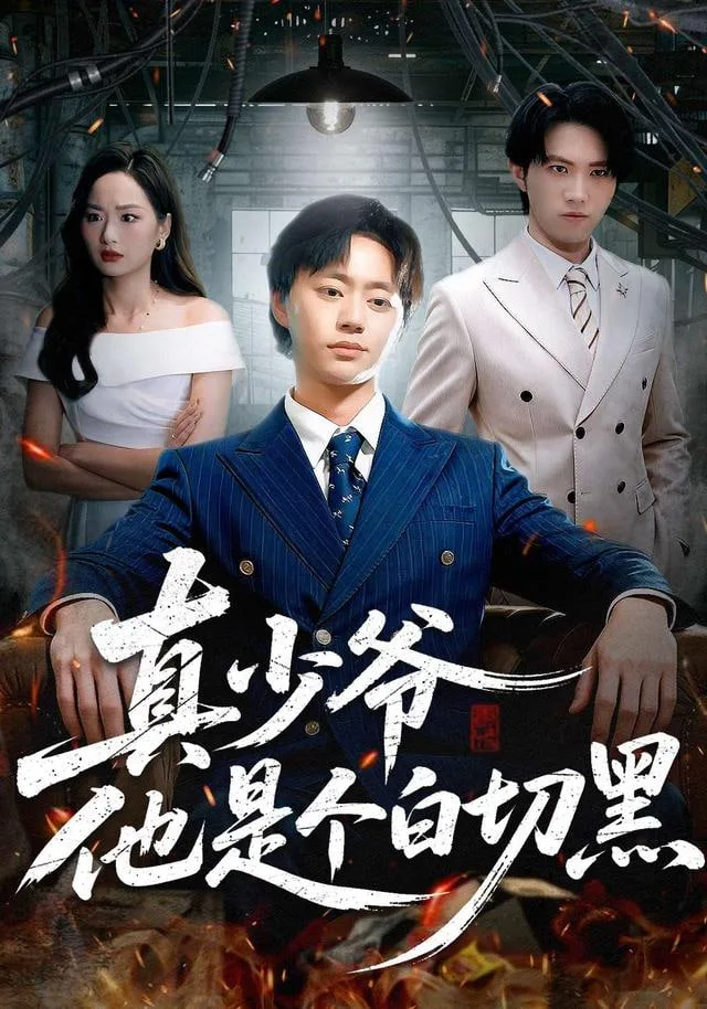 真少爷他是个白切黑海报