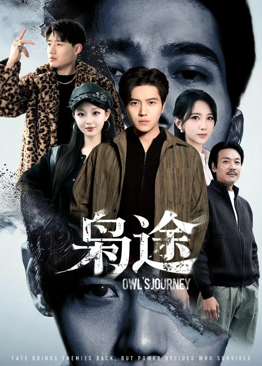 枭途 (龙抬头1)：莫欺少年穷海报