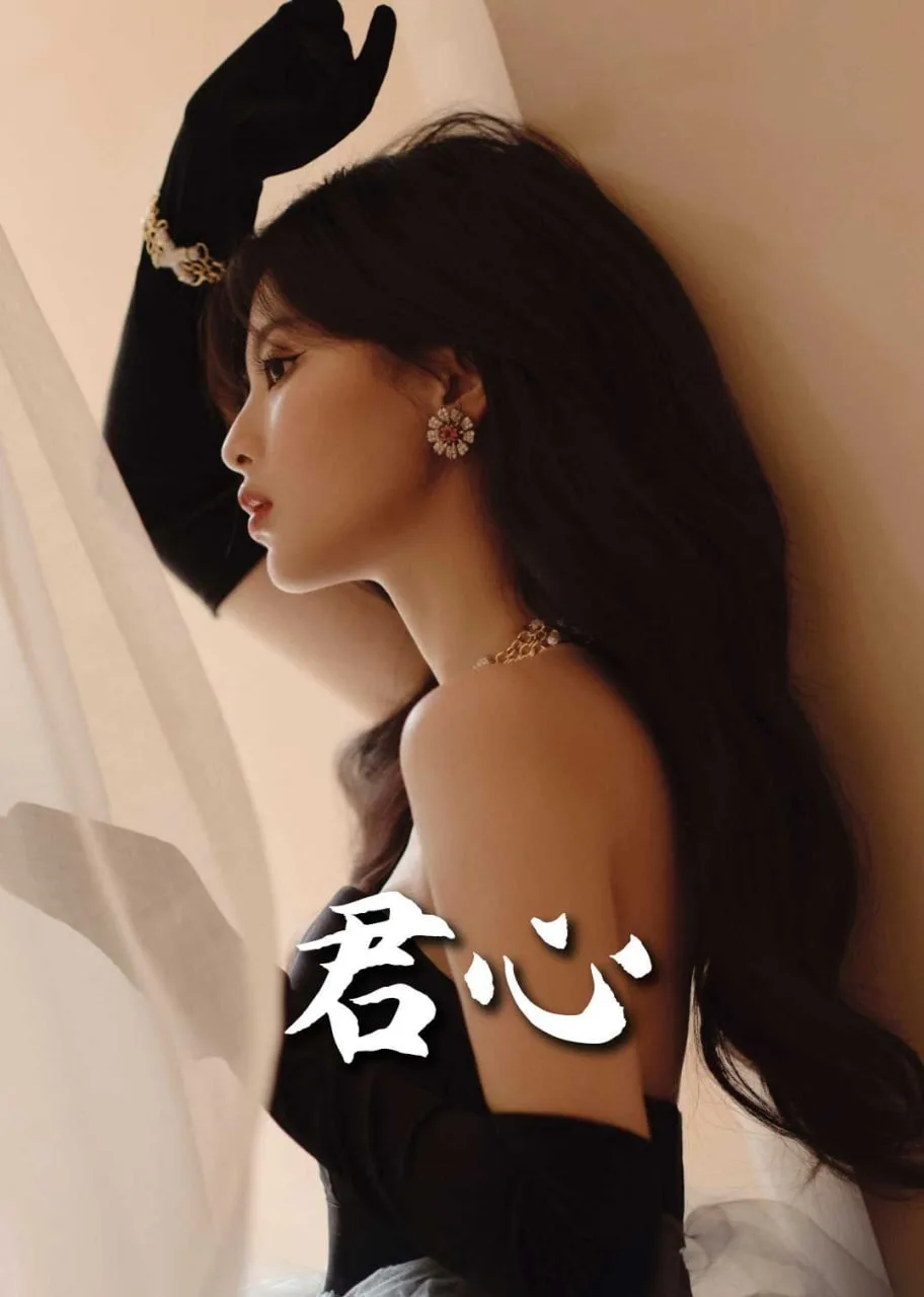 君心海报
