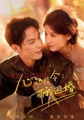 心动指令：带我逃婚，玫瑰窃贼海报