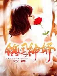 镇国神婿海报