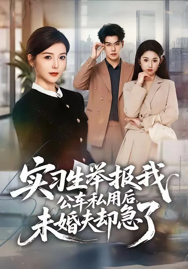 实习生举报我公车私用后，未婚夫却急了海报