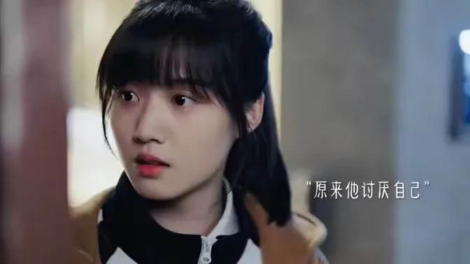 追妻海报