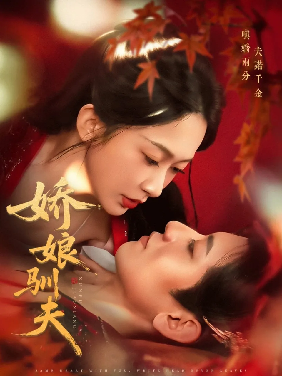 娇娘驯夫海报