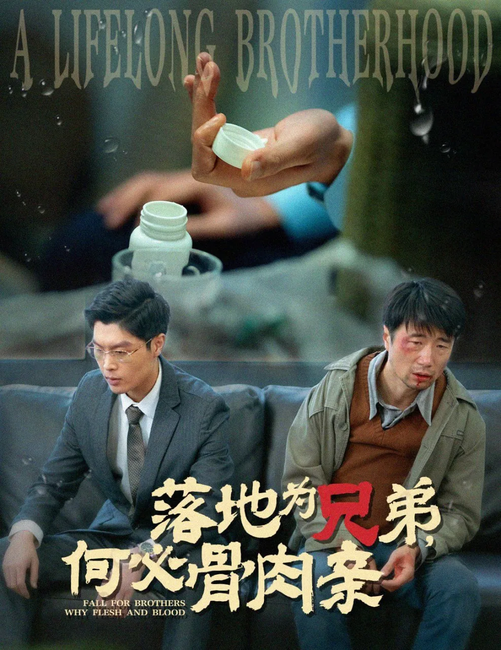 落地为兄弟，何必骨肉亲海报