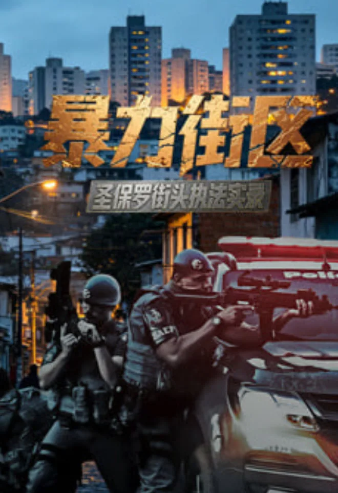 暴力街区：圣保罗街头执法实录海报