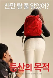 登山的目的海报