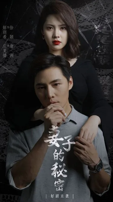 新：妻子的秘密海报