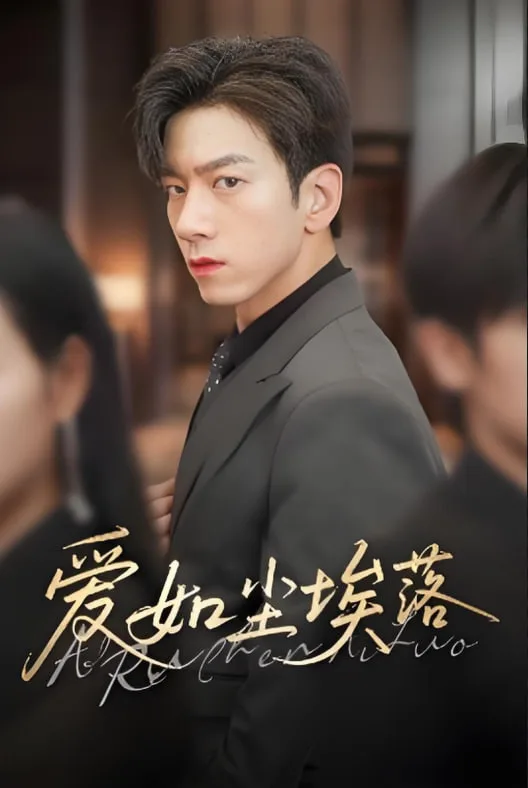 爱如尘埃落海报