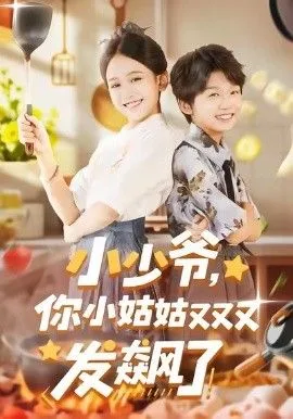 小少爷，你小姑姑又又又发飙了海报