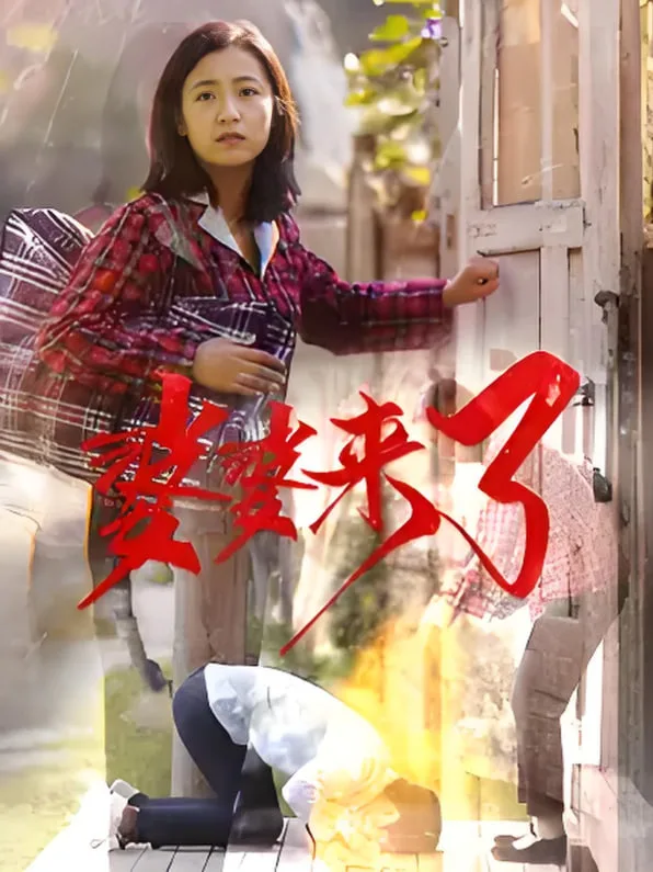 安澜进城海报