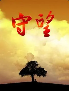 守望 2008海报