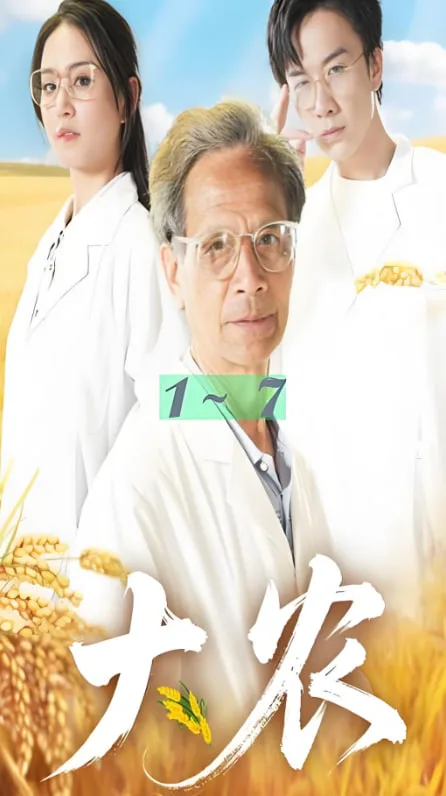 大农海报