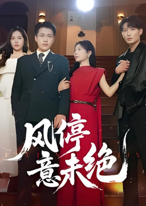 风停意未绝海报