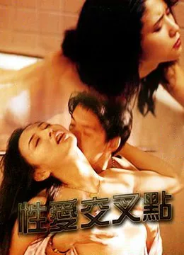 性爱交叉点海报