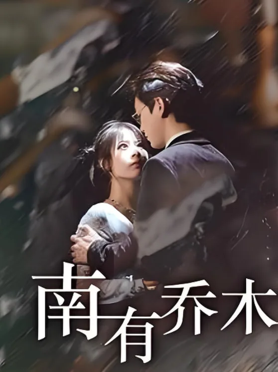 南有乔木海报