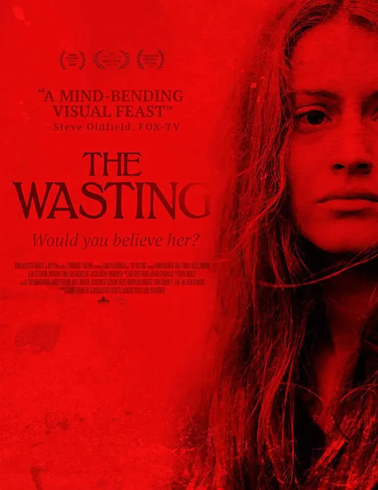 虚度青春海报