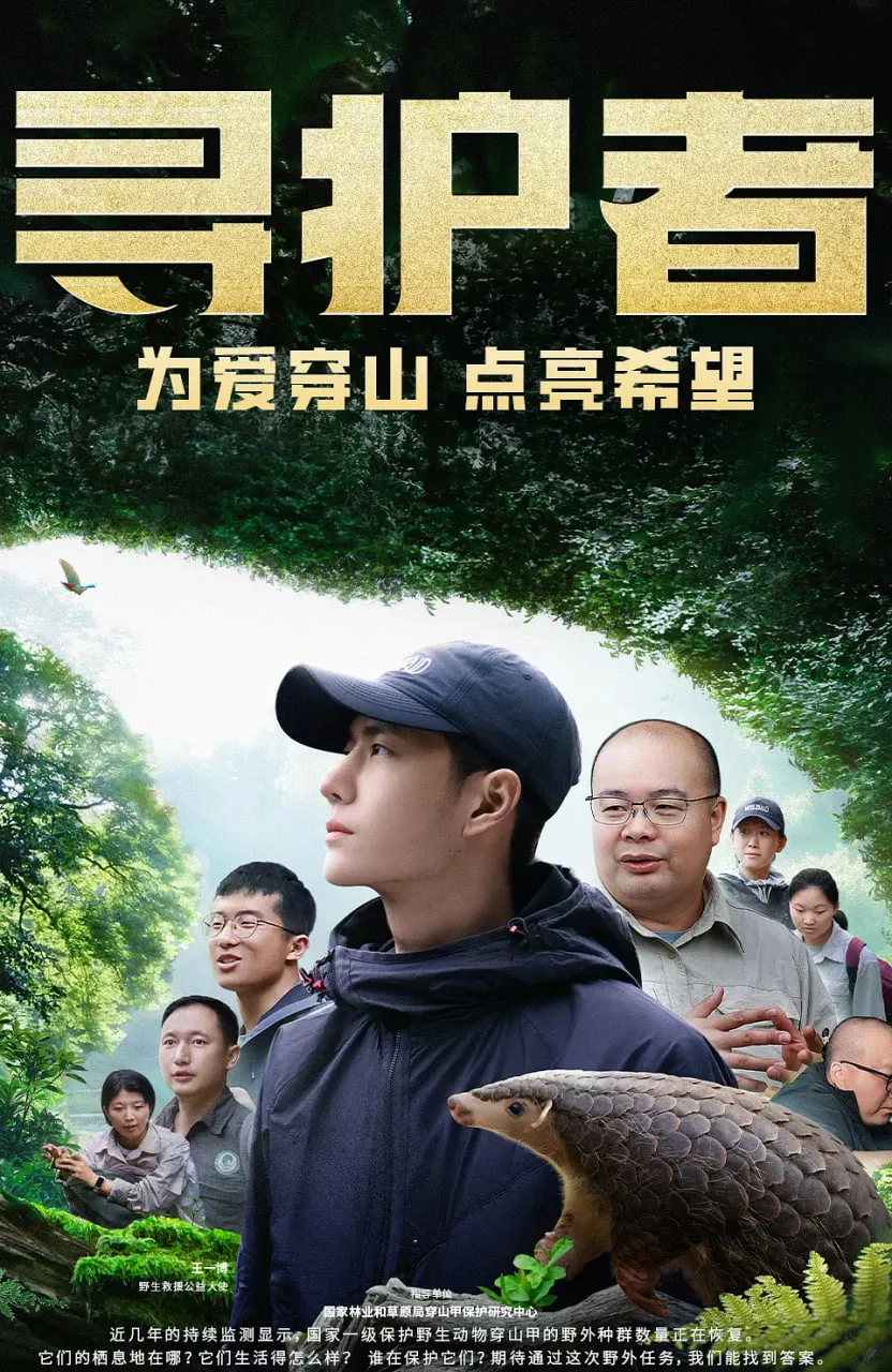 寻护者海报