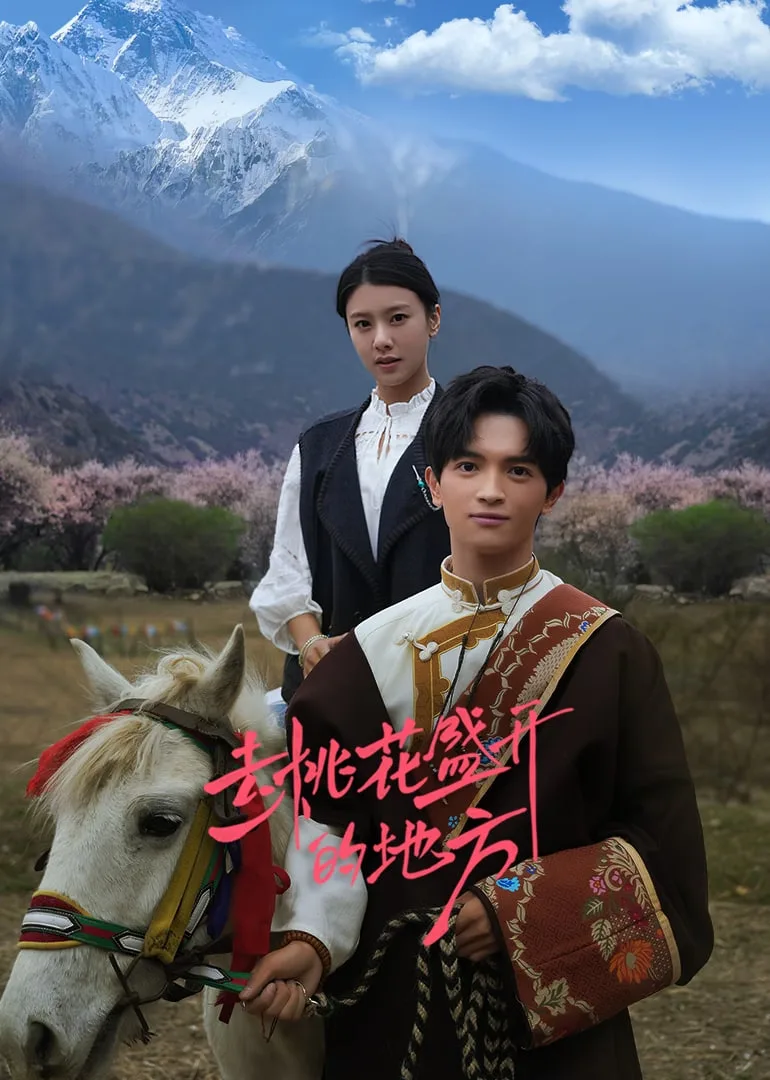 去桃花盛开的地方海报