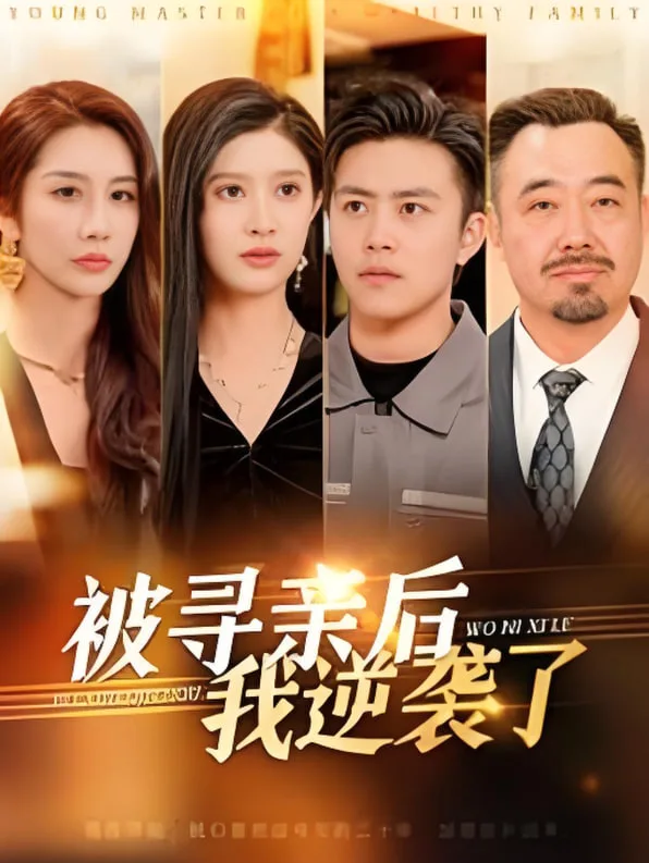 被寻亲后我逆袭了海报