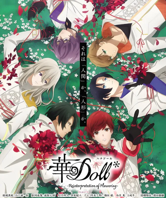 华Doll海报